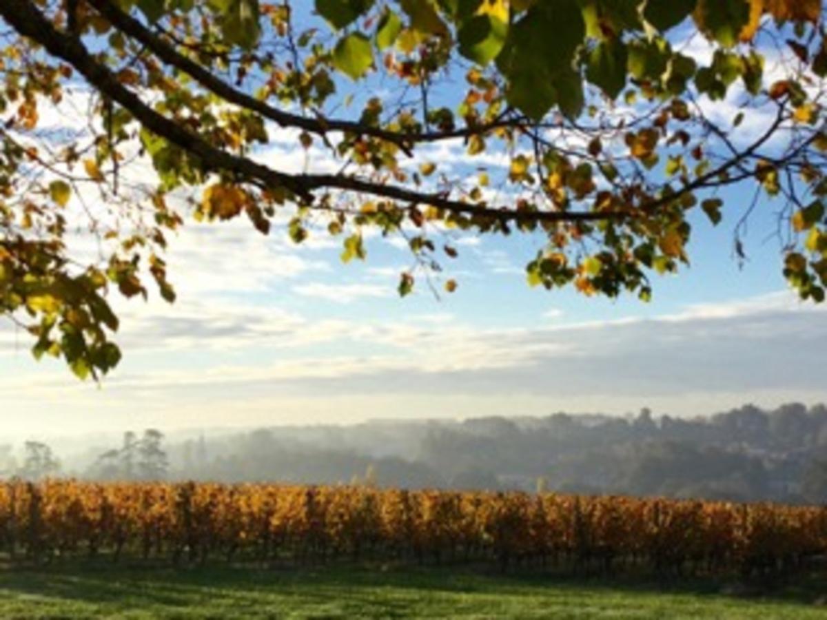 Chateau De La Ligne Lignan-de-Bordeaux Bagian luar foto